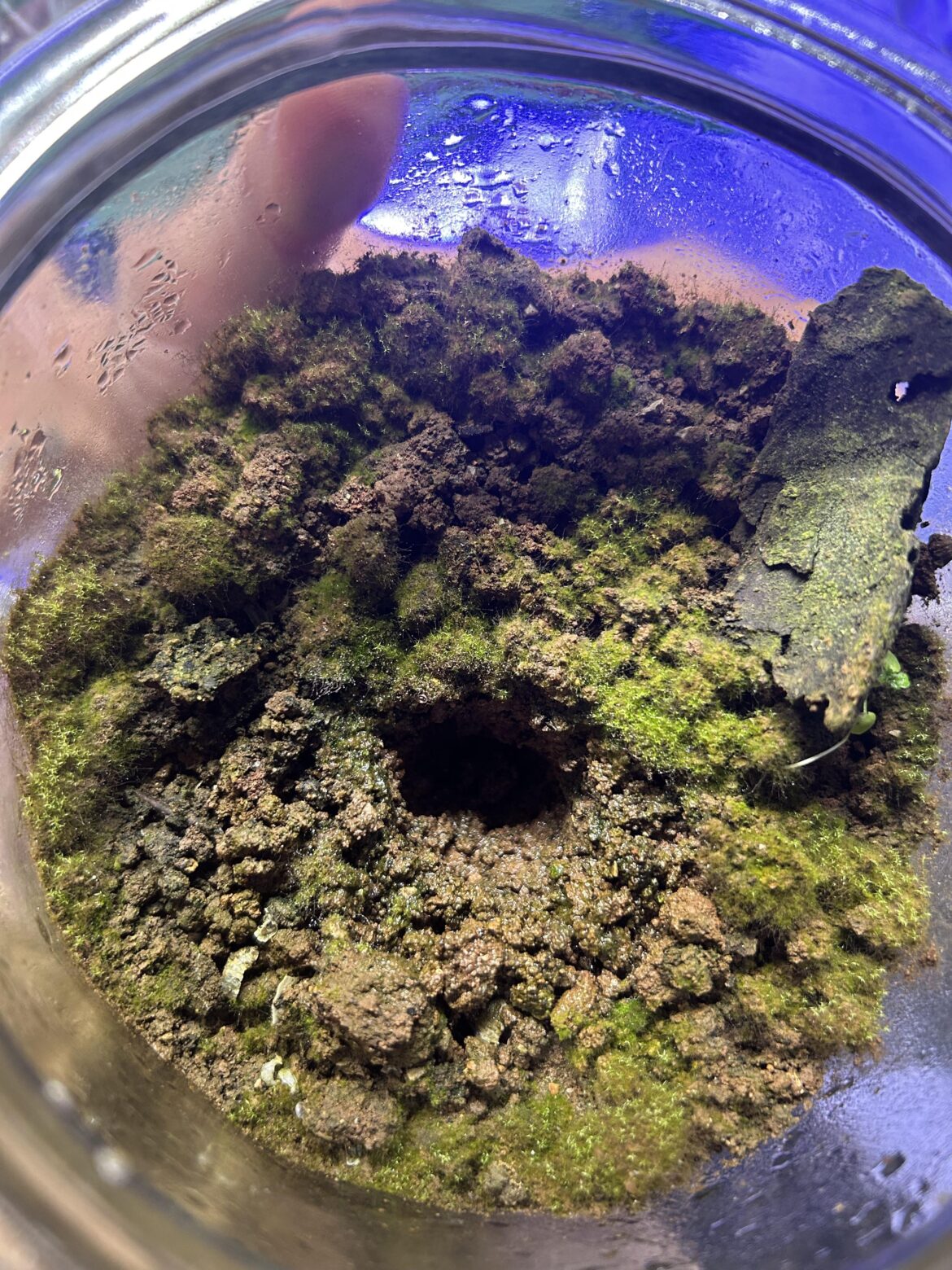 Life… uh… finds a way. Life… uh… finds a way.