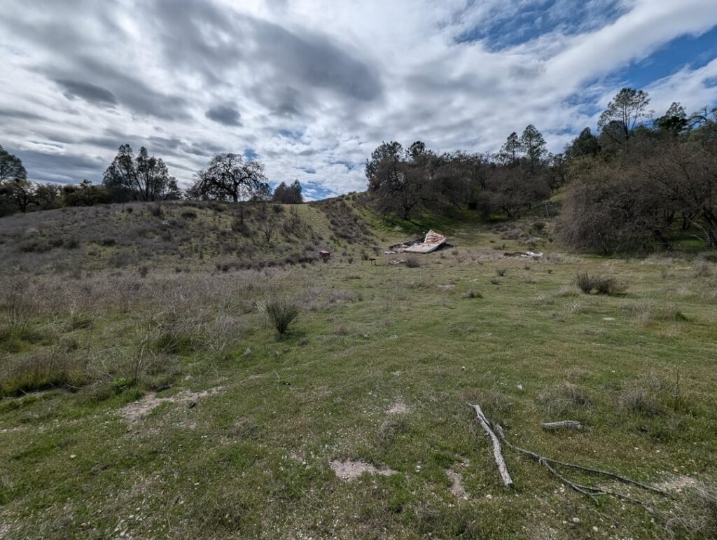 Grazing farm opportunity Grazing farm opportunity