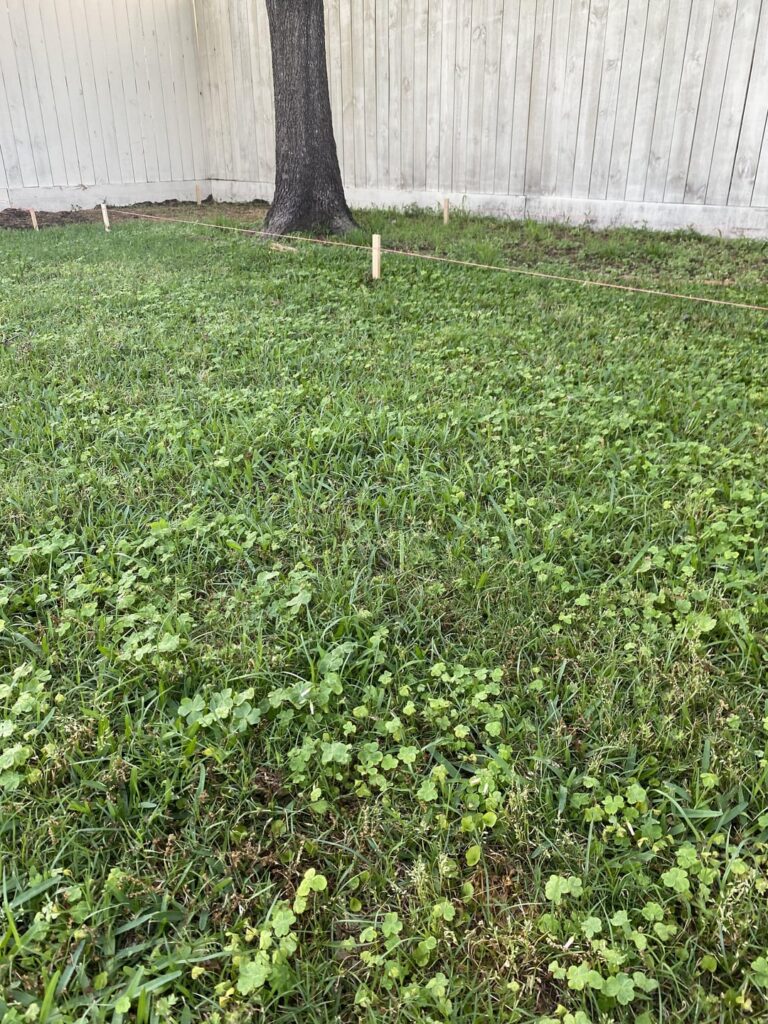 Can I save this on my own? Or do I need to bite the bullet and hire a professional service?