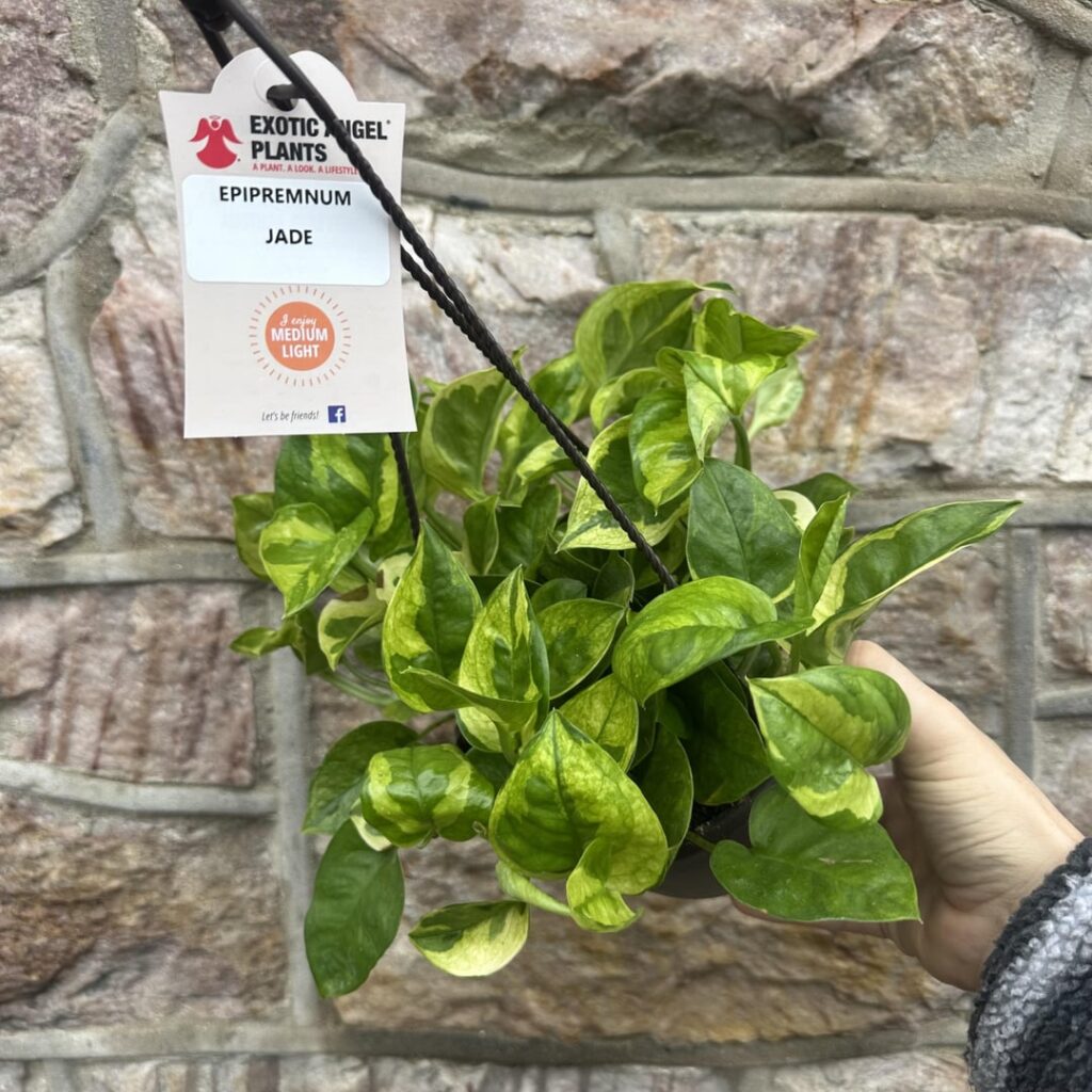 So what would you think?… So what would you think?…