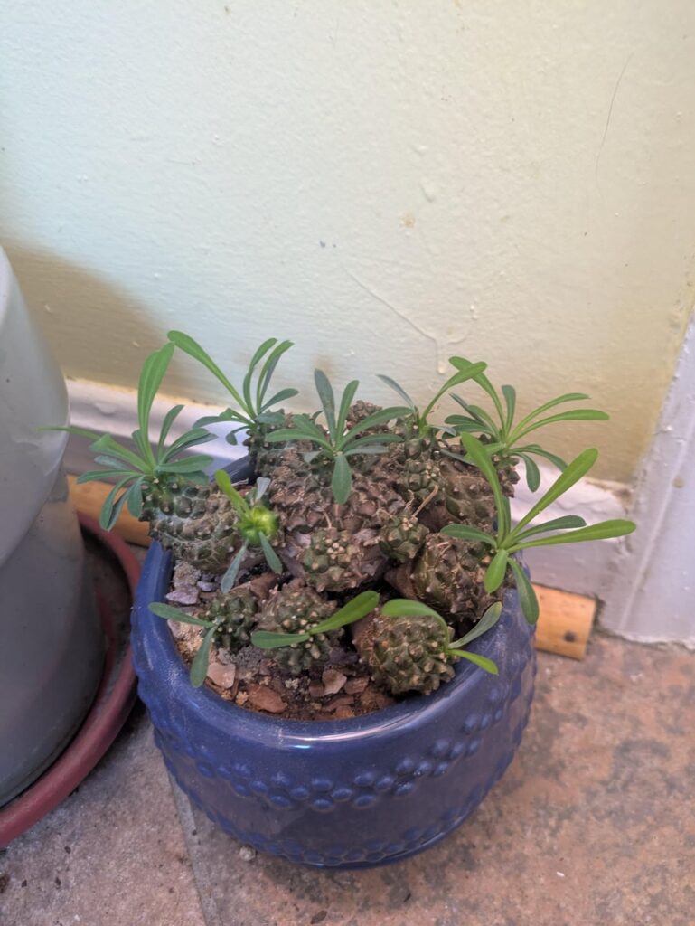 Best way to prop