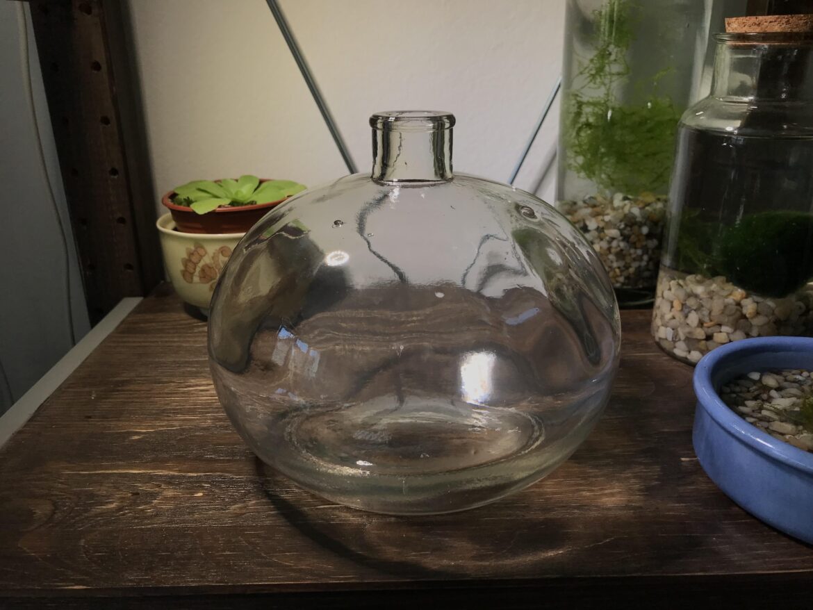 Any idea what to put inside?