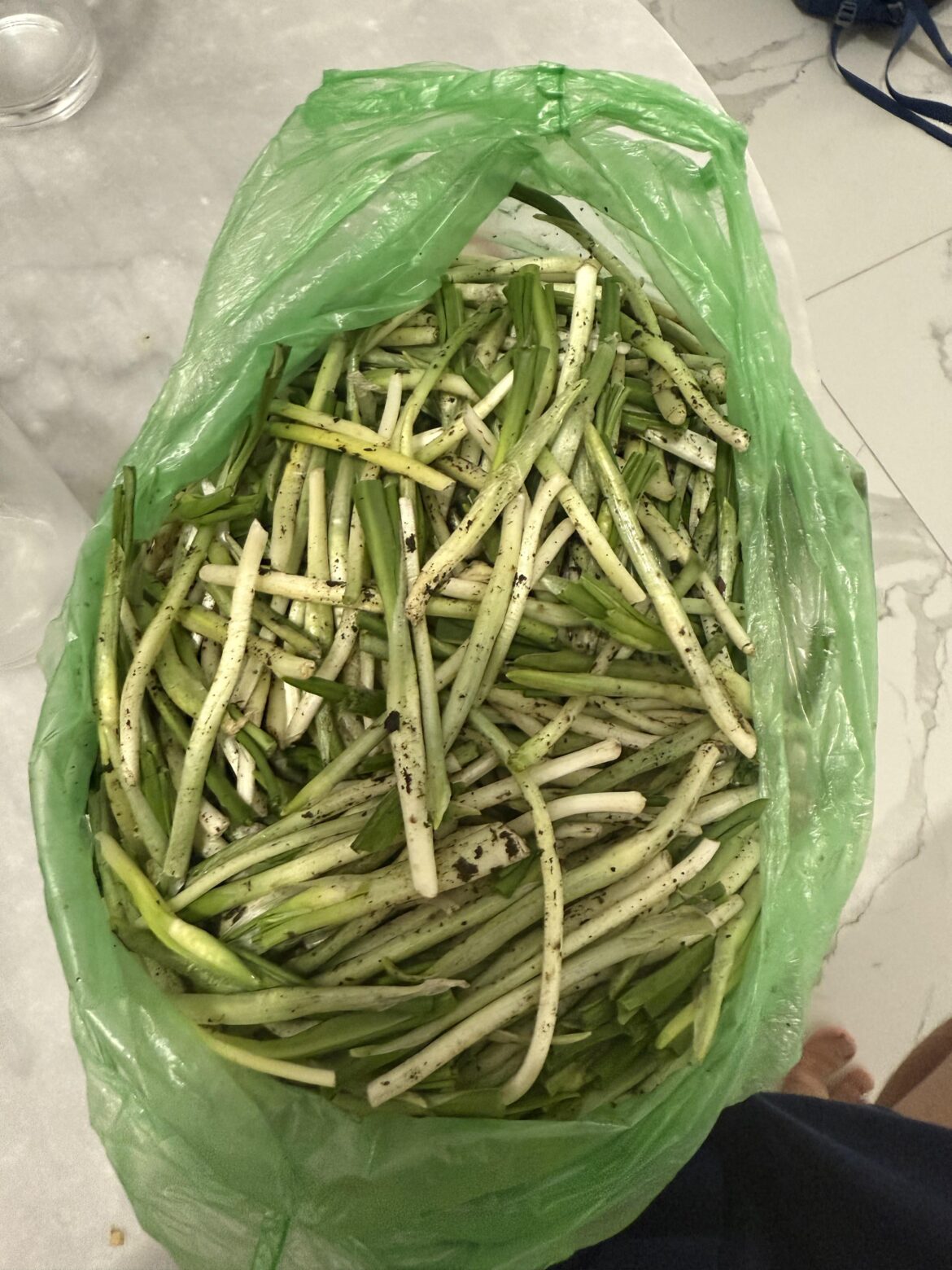 Impulse bought this at a road stall in Eastern Georgia (country). Has an allium flavor