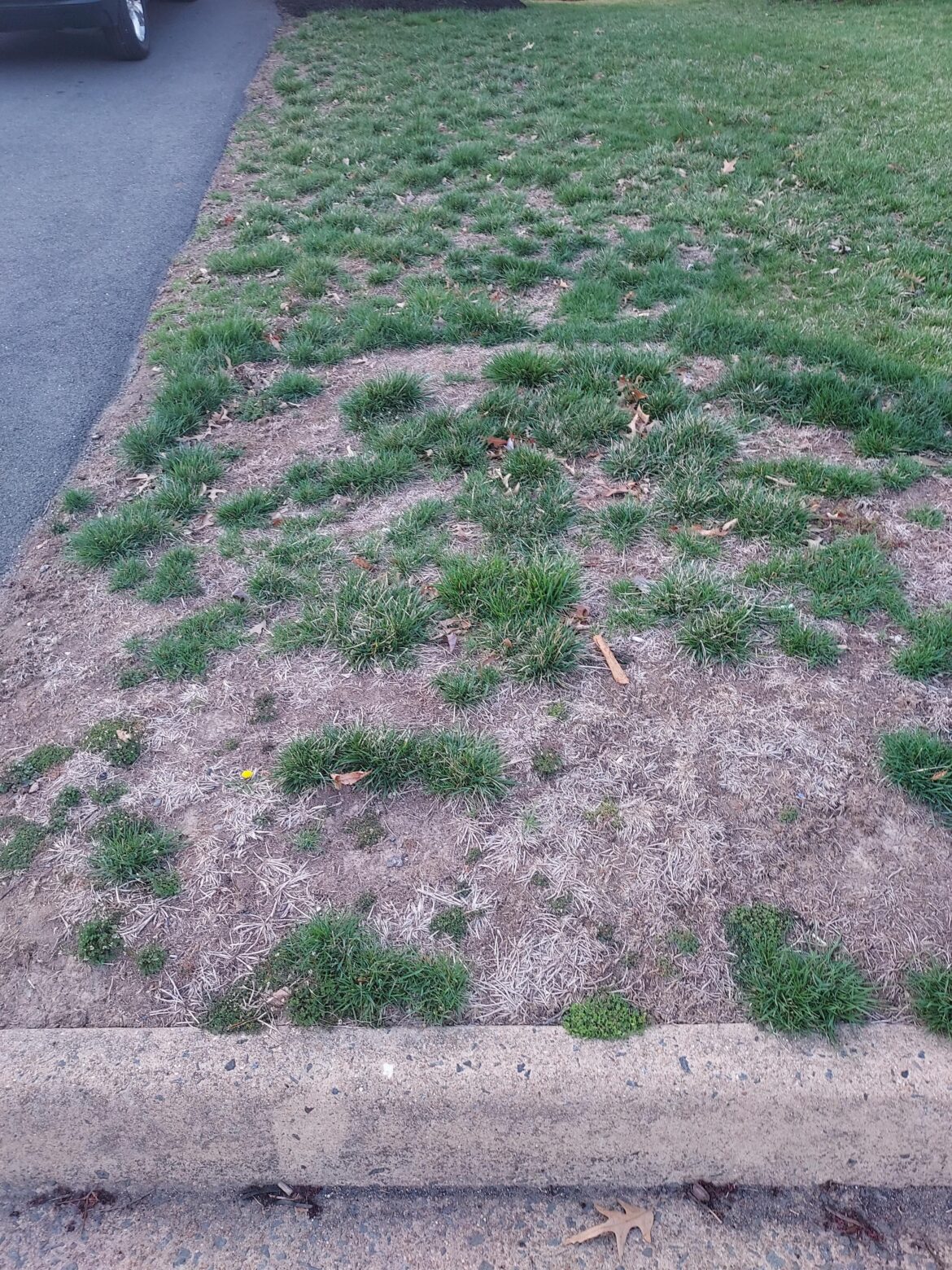 How would you fix this?