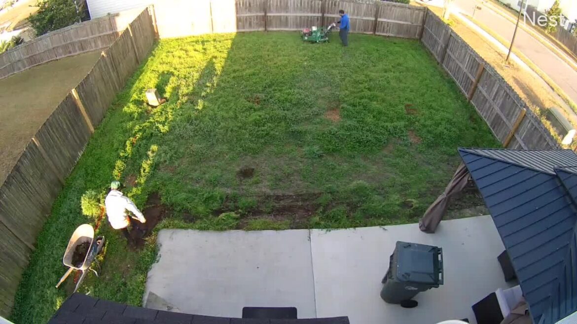 Only took 2 minutes to resod my backyard! Only took 2 minutes to resod my backyard!