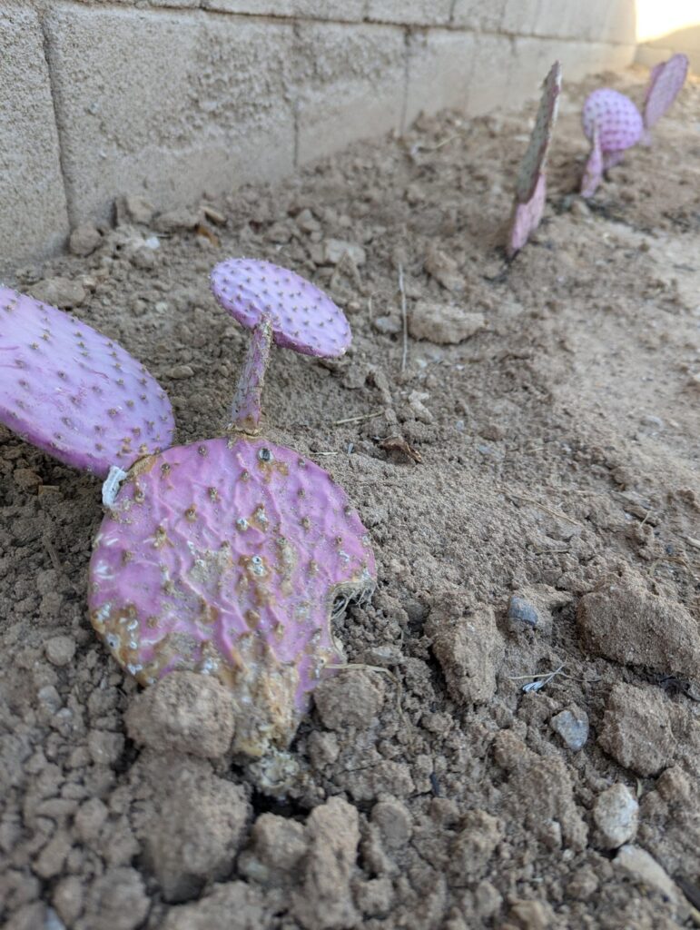 Help me save these motherfuckers Help me save these motherfuckers
