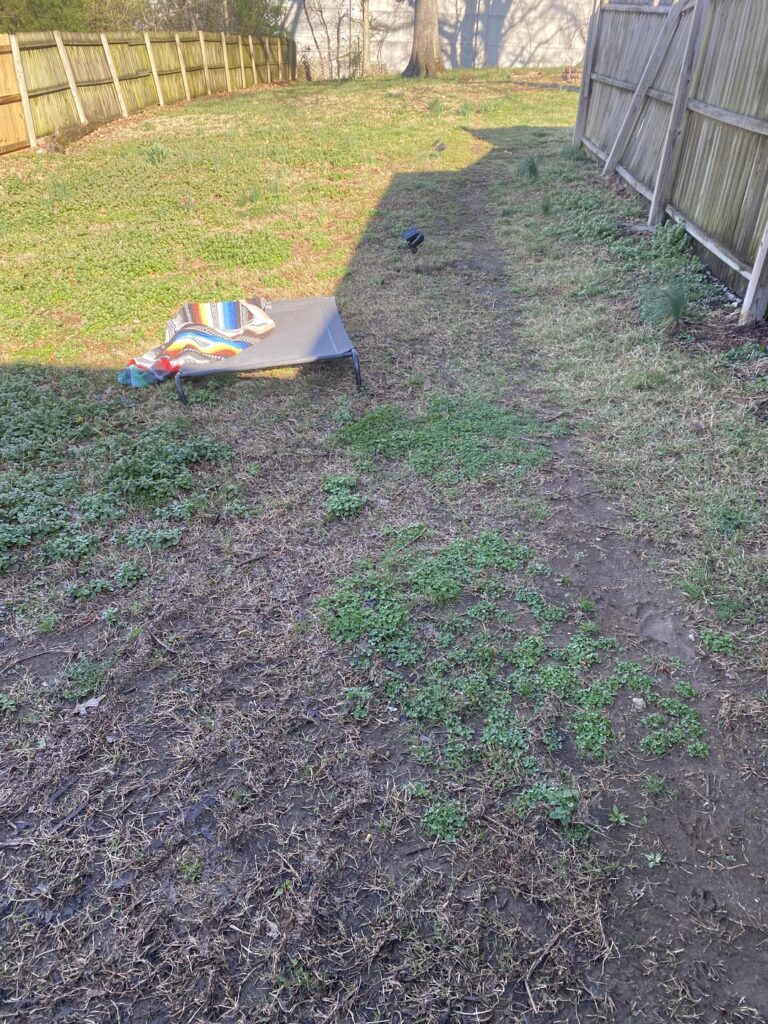 First time homeowner, where do I even begin? First time homeowner, where do I even begin?