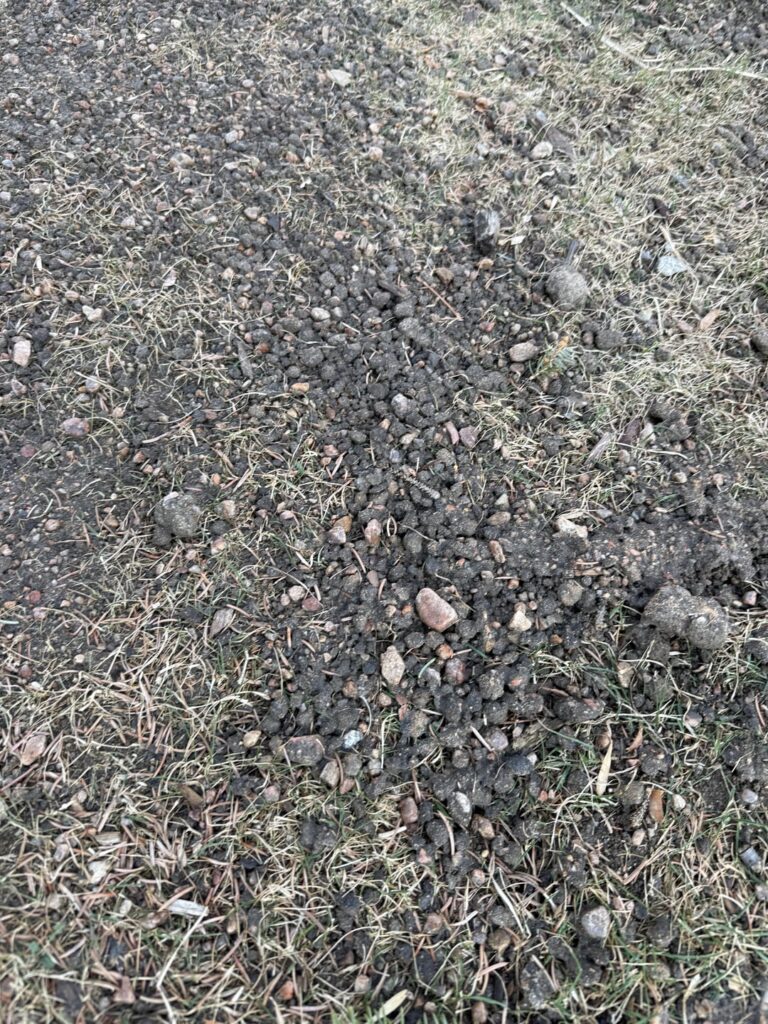 Is this acceptable screened topsoil?