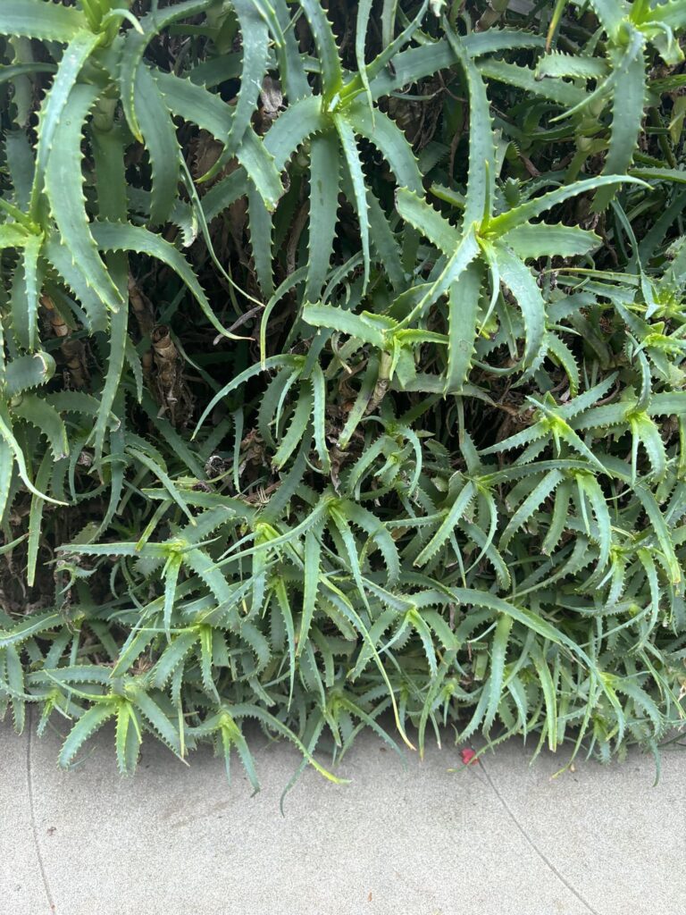How to propagate these?
