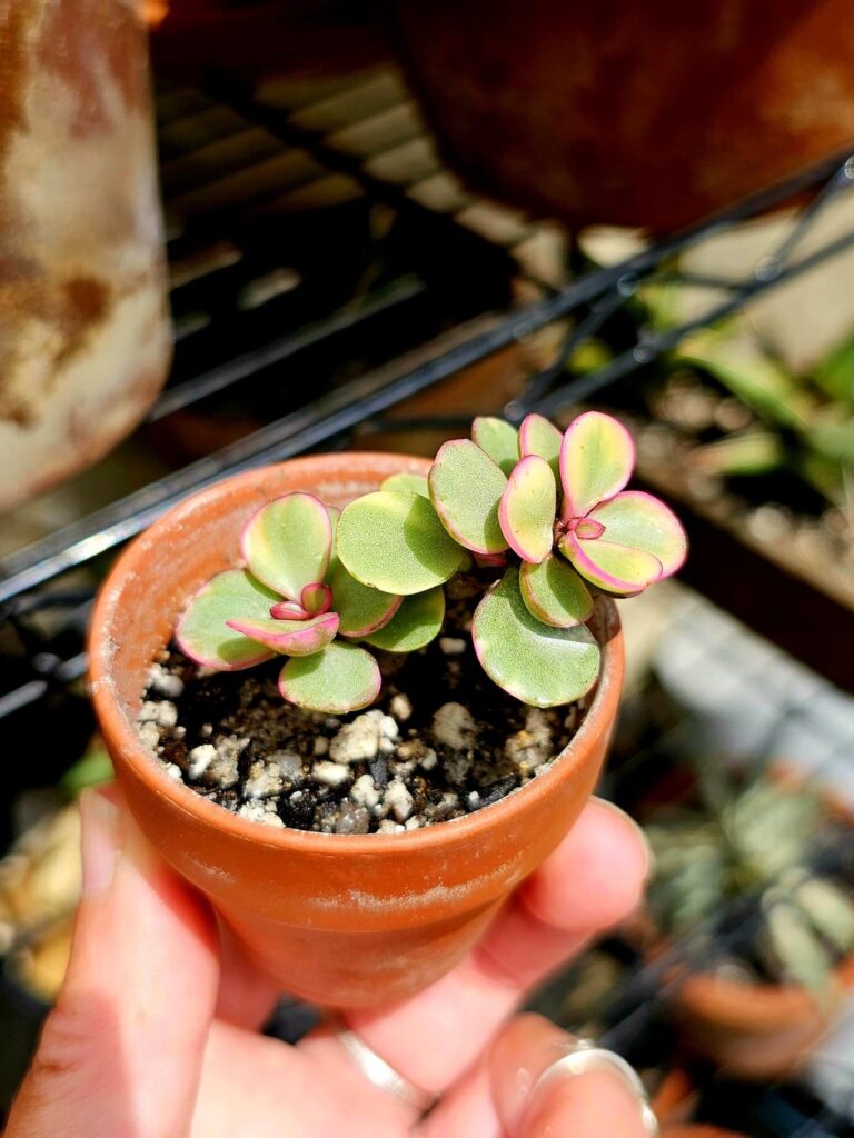 Signs of life!