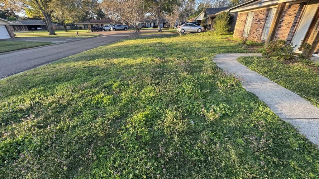 How the hell does grass work? How the hell does grass work?