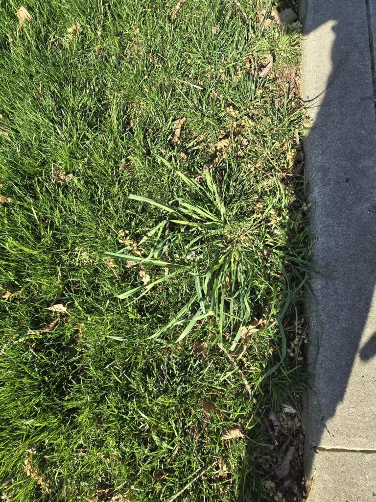 What happened? How do I get rid of this? ID