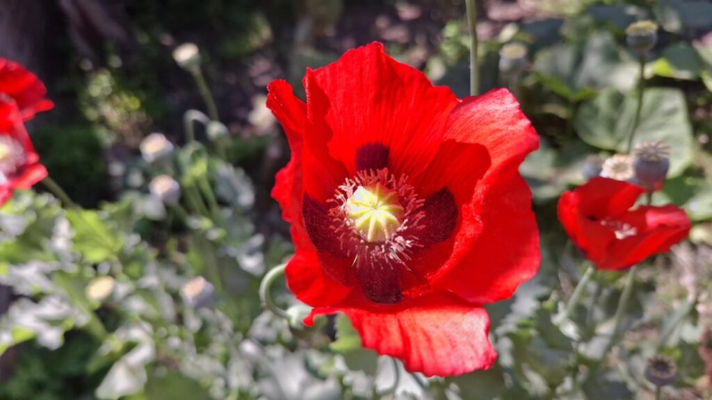 Is this what I think it is?