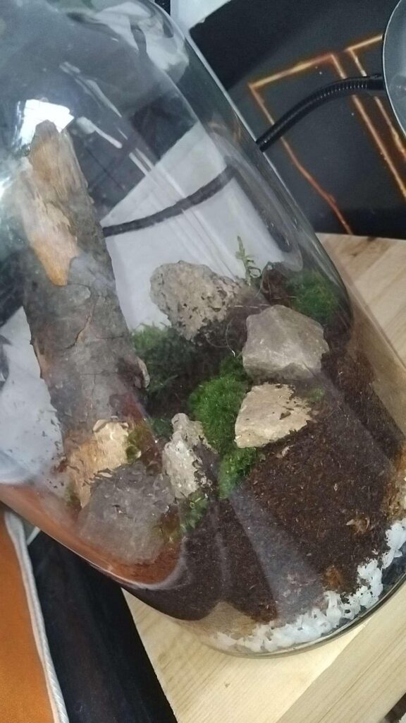 18 Month Difference