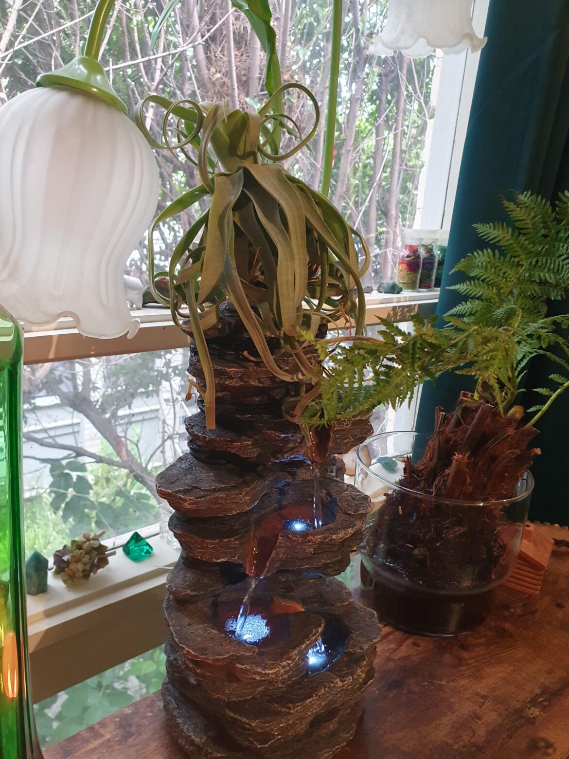 Is my Tilly cracking it? Or is this normal leave formation?