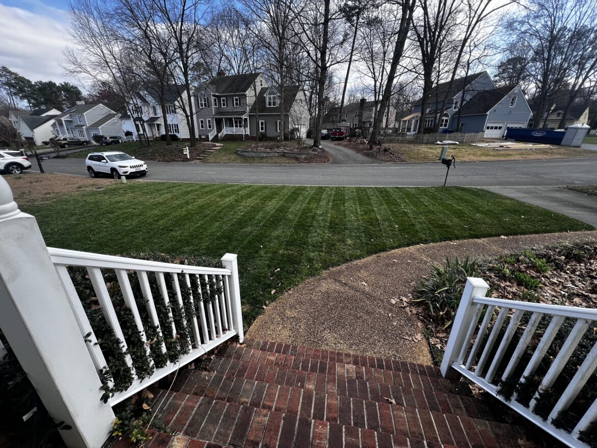 First cut of the year First cut of the year