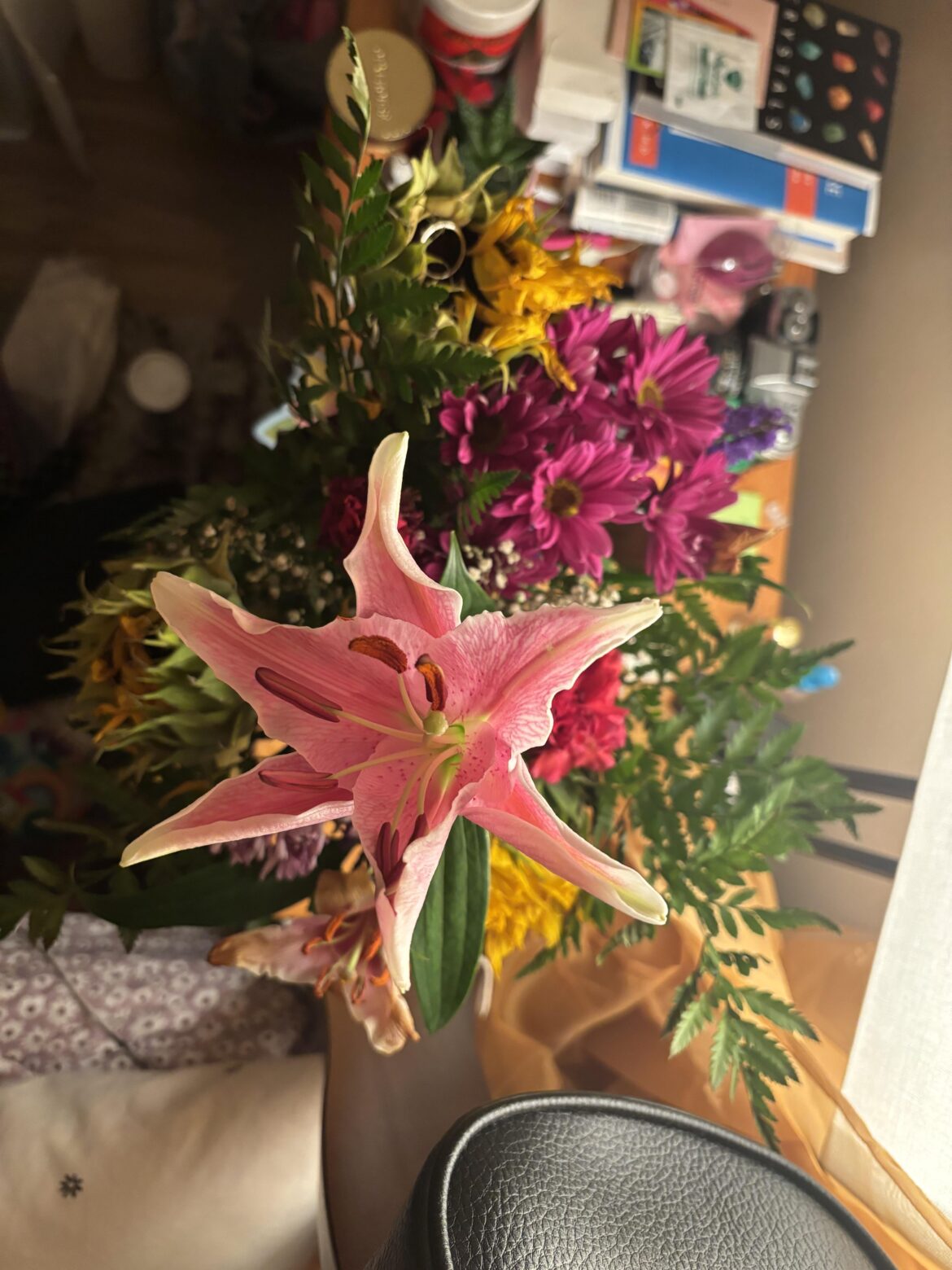 help, lily or orchid