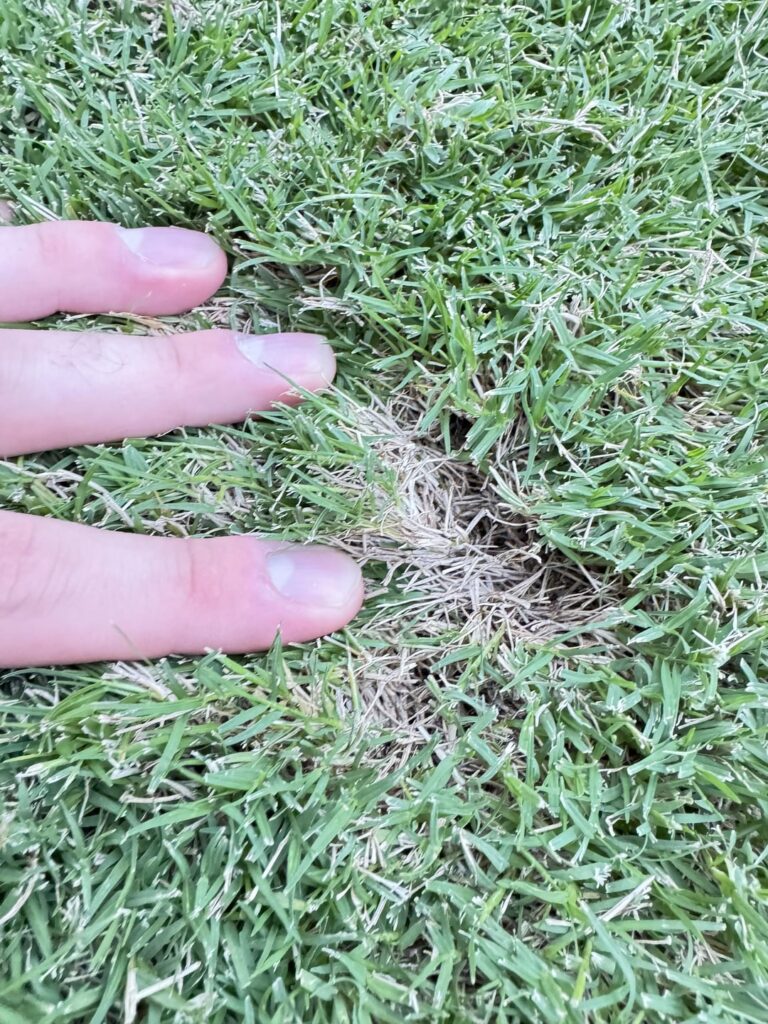 Dad says this is normal, is he right? Dad says this is normal, is he right?