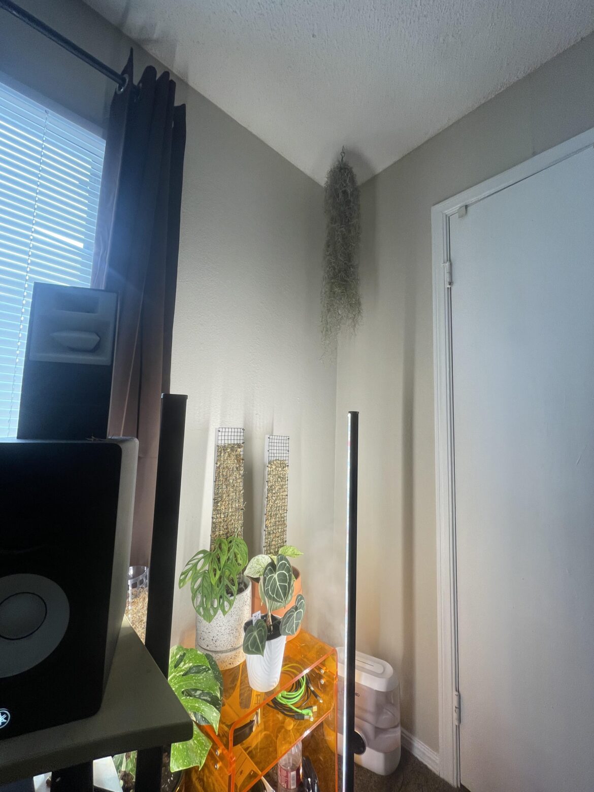 Is this enough light for my sleep paralysis demon?