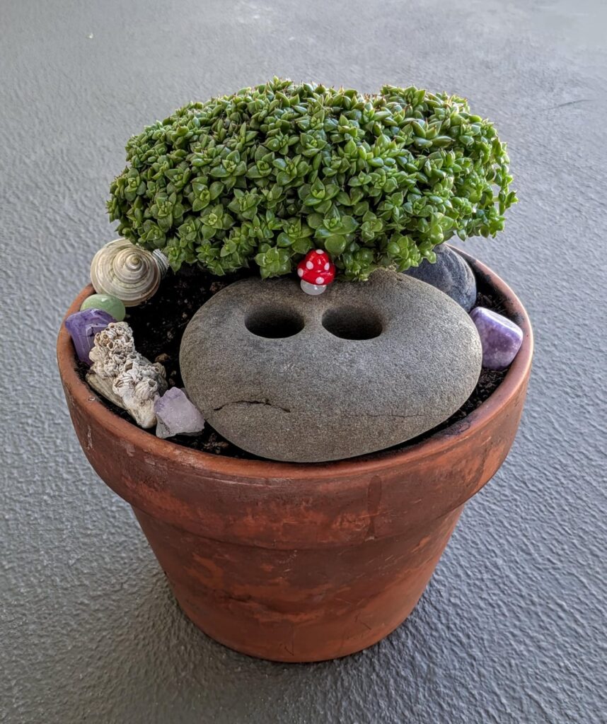 Just some pics of my girl, being a beautiful clump.