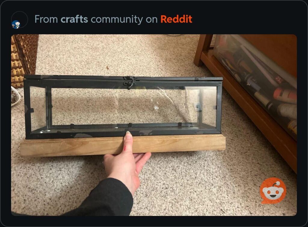 Terrarium Ideas