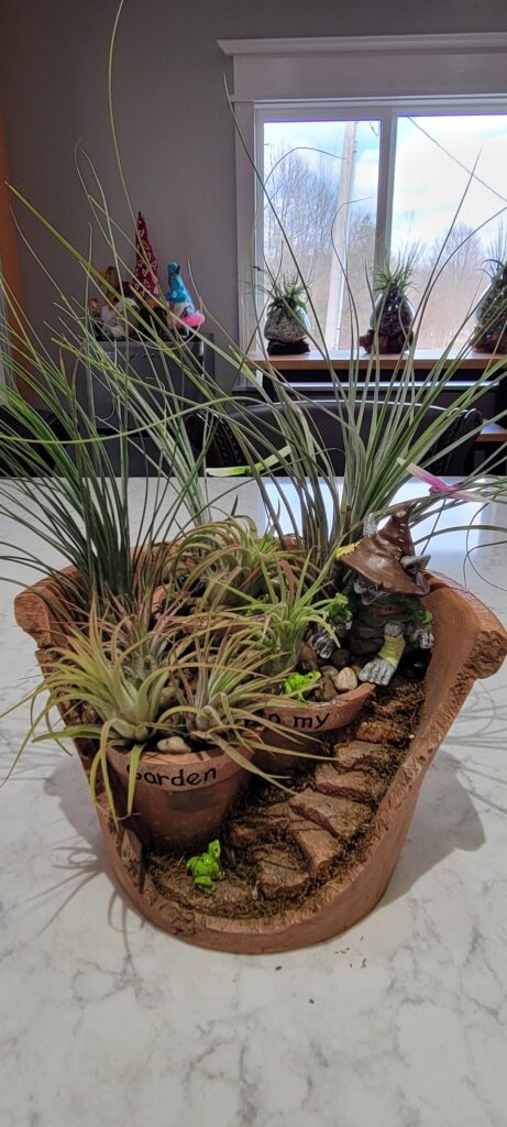 My Airplant Displays My Airplant Displays