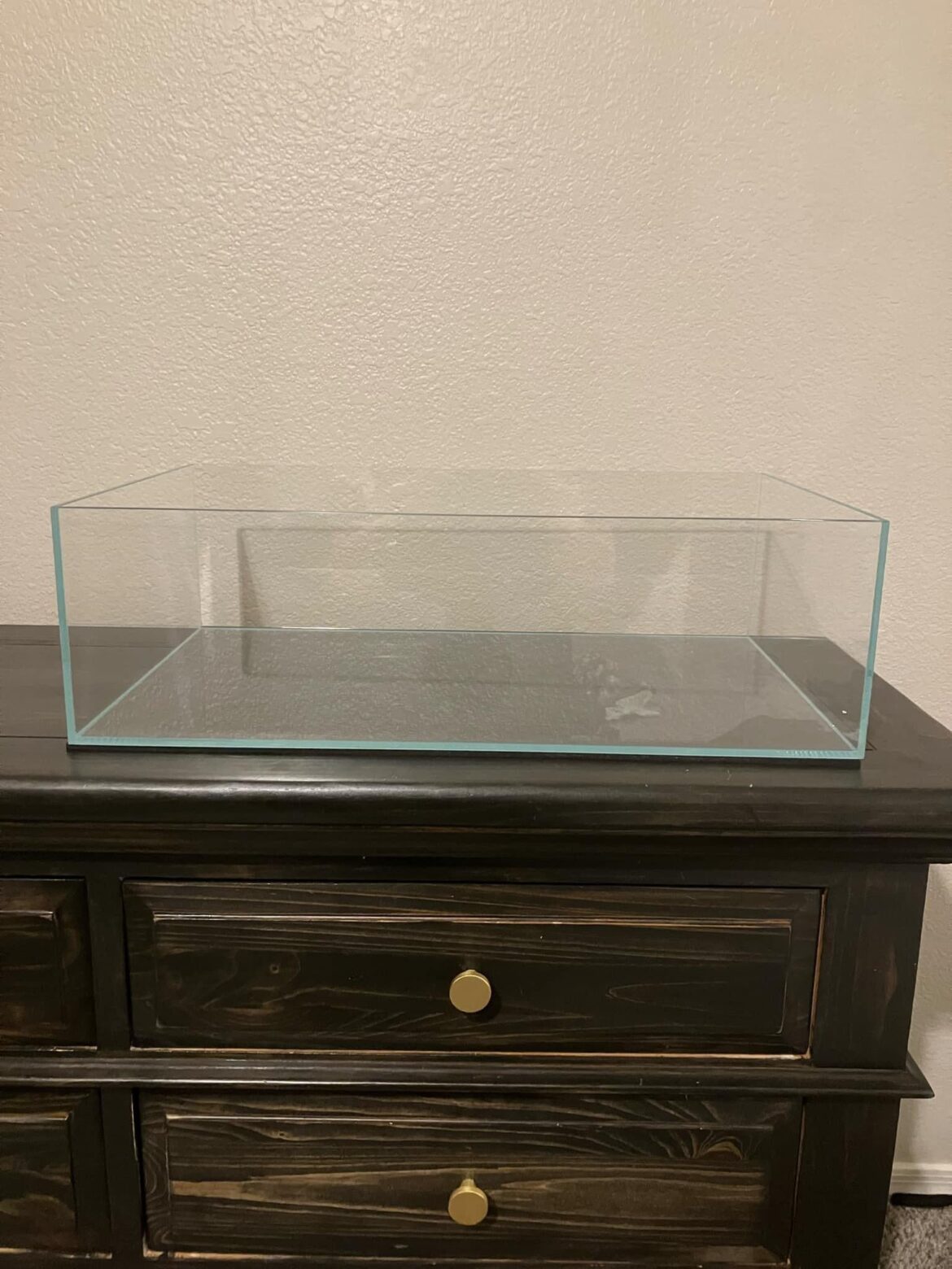 I need some help with plant suggestions for a shallow tank I need some help with plant suggestions for a shallow tank