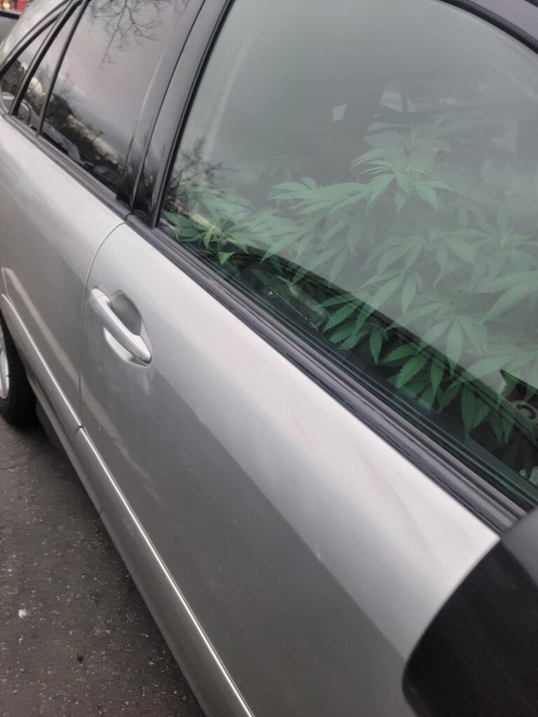 Saw this in a target parking lot