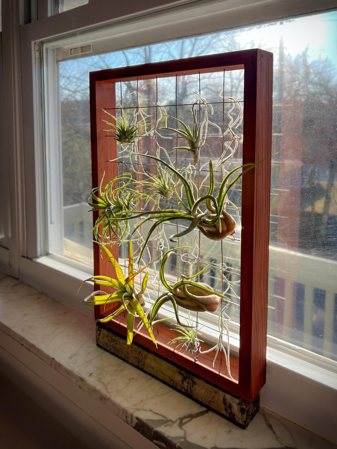 Time for their daily sunbath