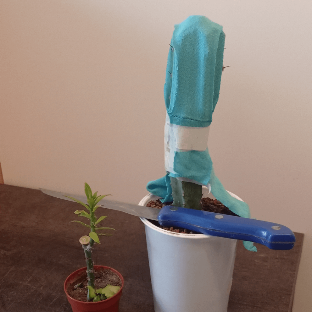 Wish me luck! Wish me luck!