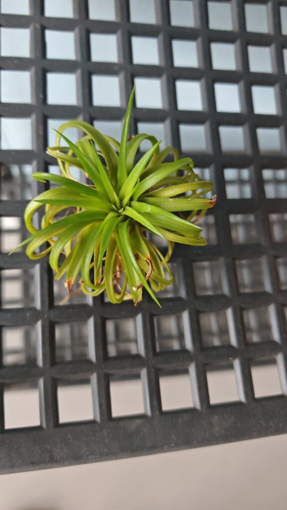 can someone help me id this?