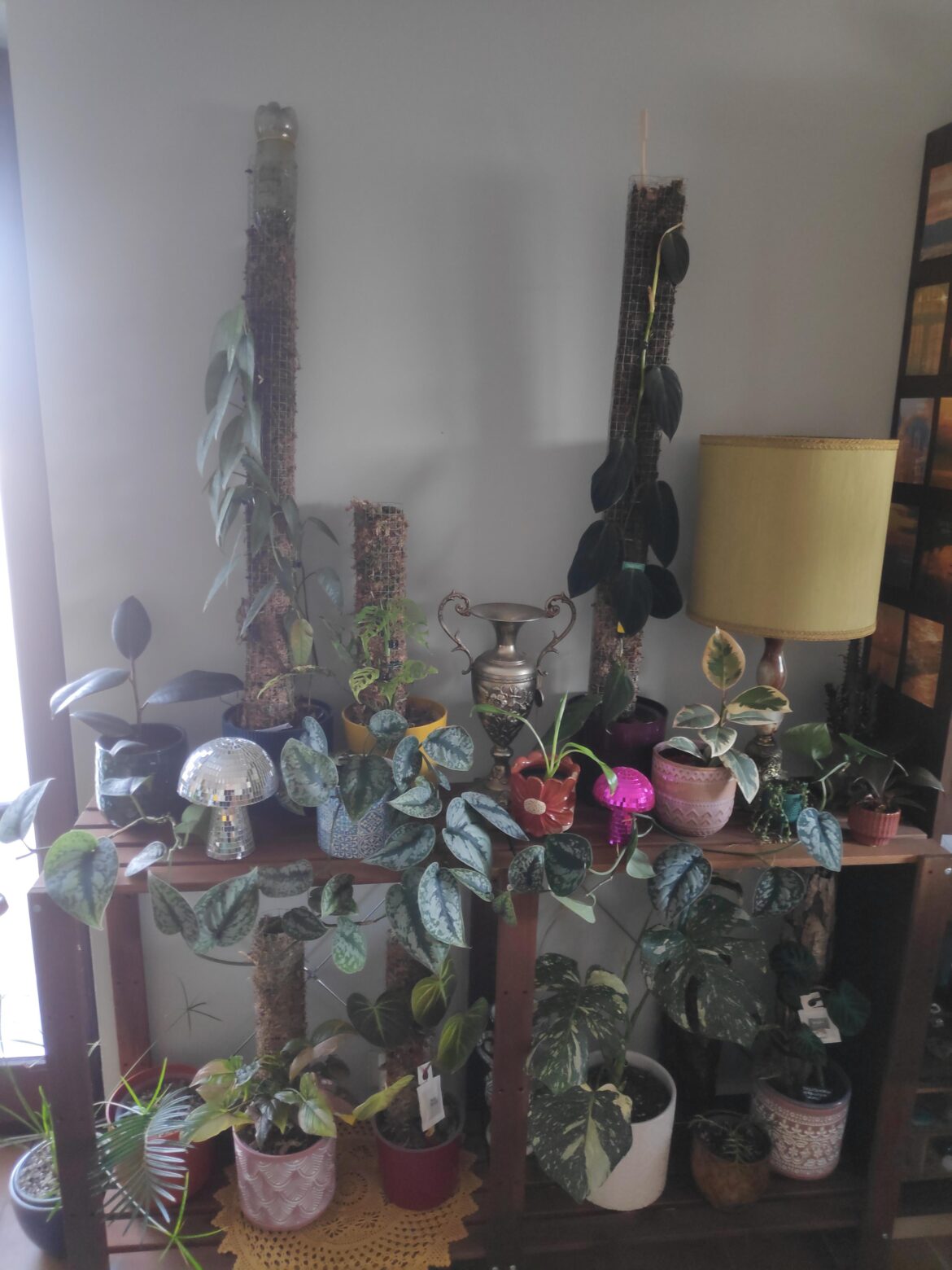 What growlights to use?