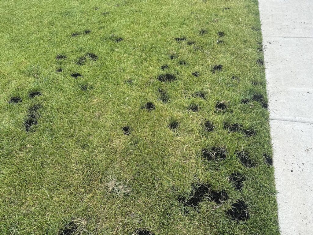 I’ve lost the fight.