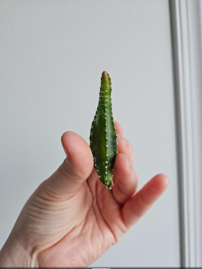 What's the best way to propogate this?