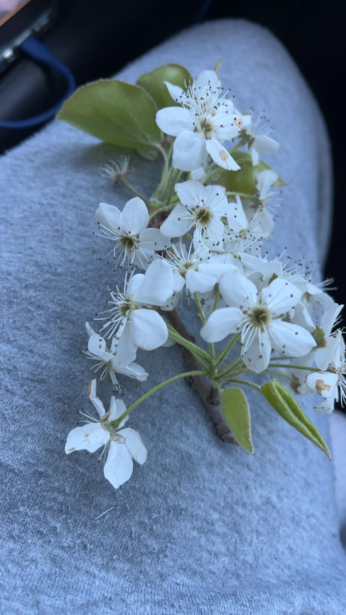 Can I propagate this
