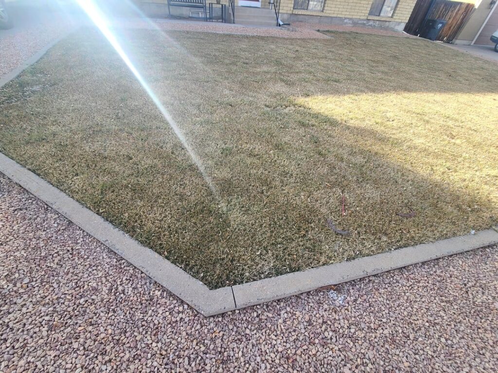 Should I power rake and aerate my lawn, or just aerate it? Should I power rake and aerate my lawn, or just aerate it?