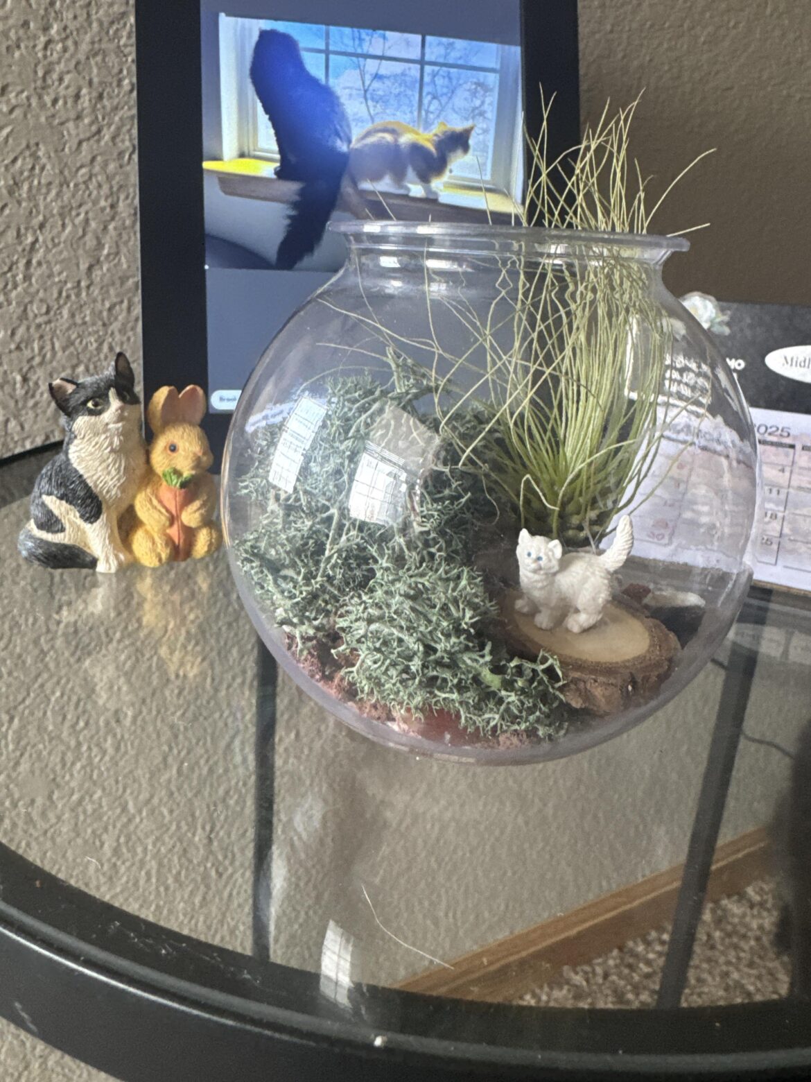 I made a cute terrarium at the plant store today