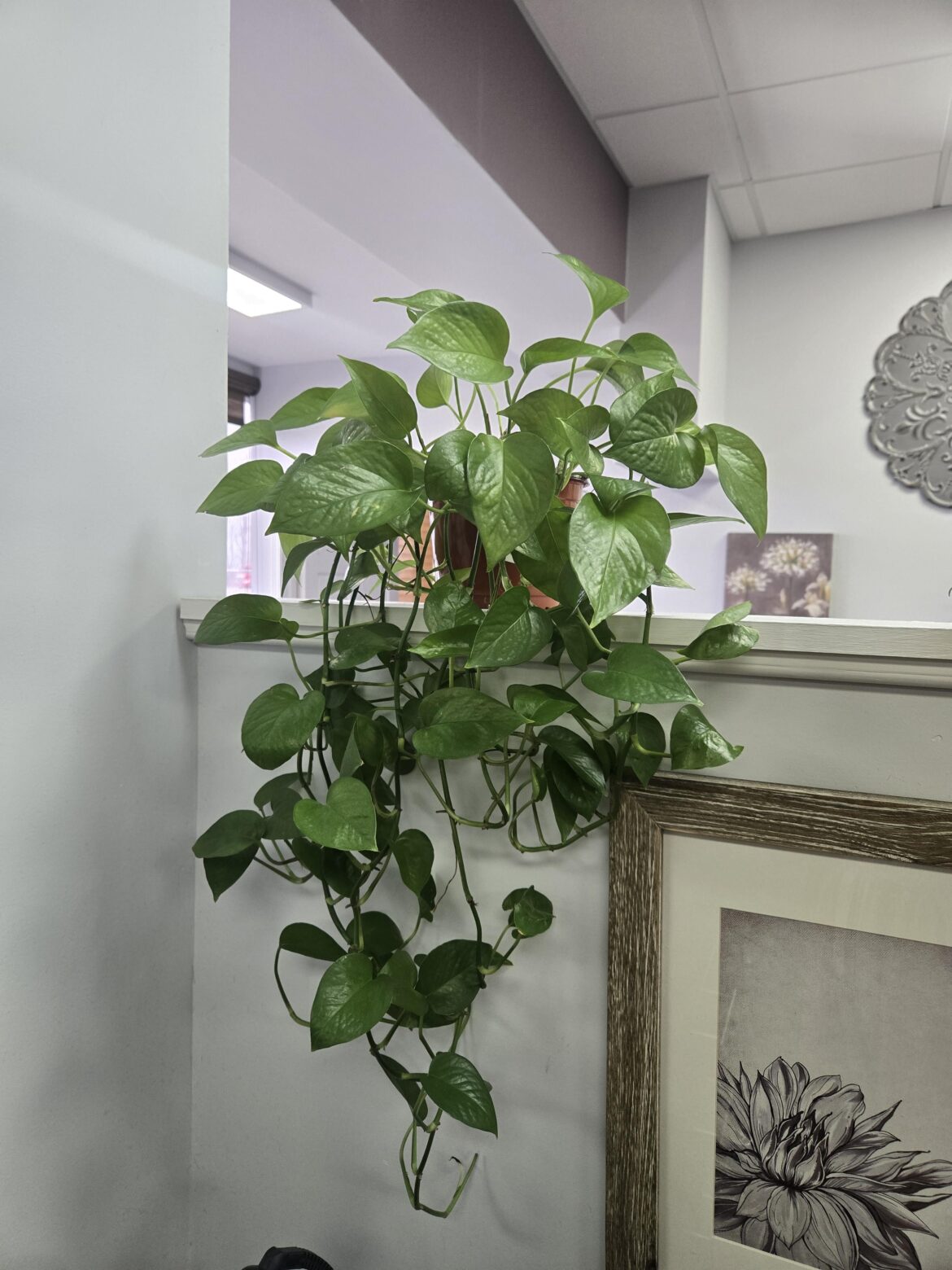 Just looking for advice Just looking for advice