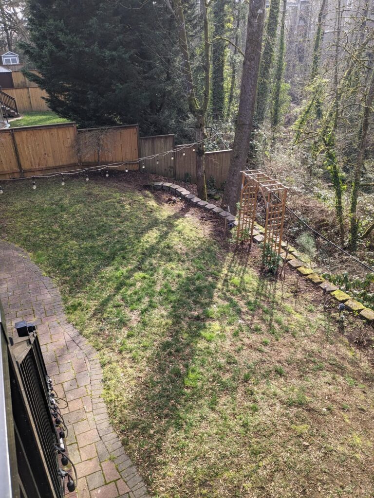 Should I Learn to Stop Worrying and Love the Moss? Should I Learn to Stop Worrying and Love the Moss?