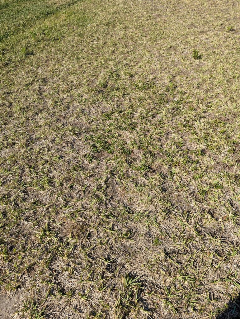 Can I recover from this?