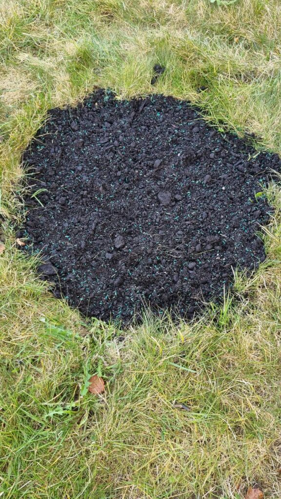 Done correctly? Done correctly?