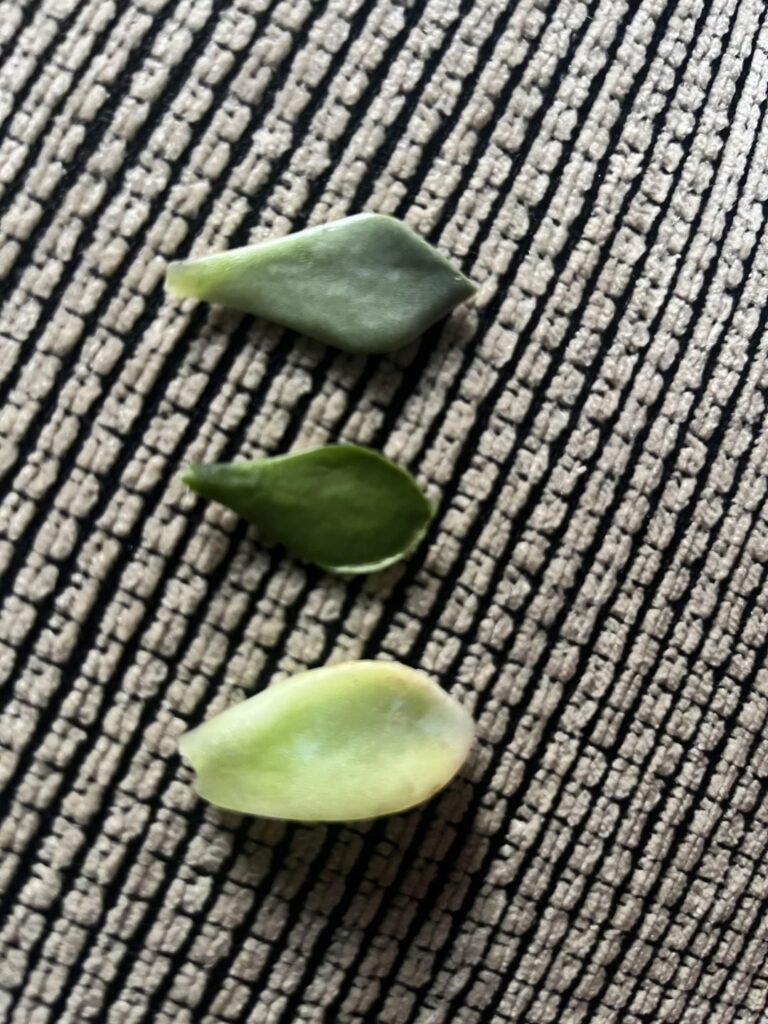 I’m new, what do I do?