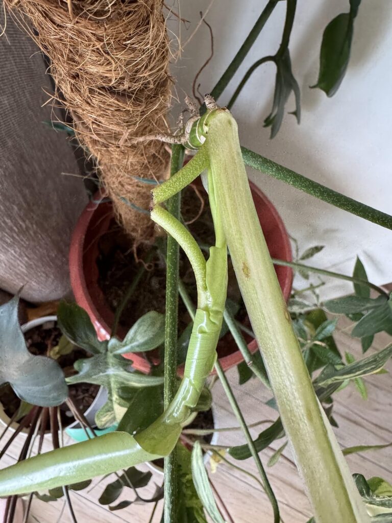 Does anyone know what’s wrong here?