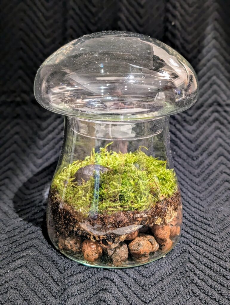 Mosshroom