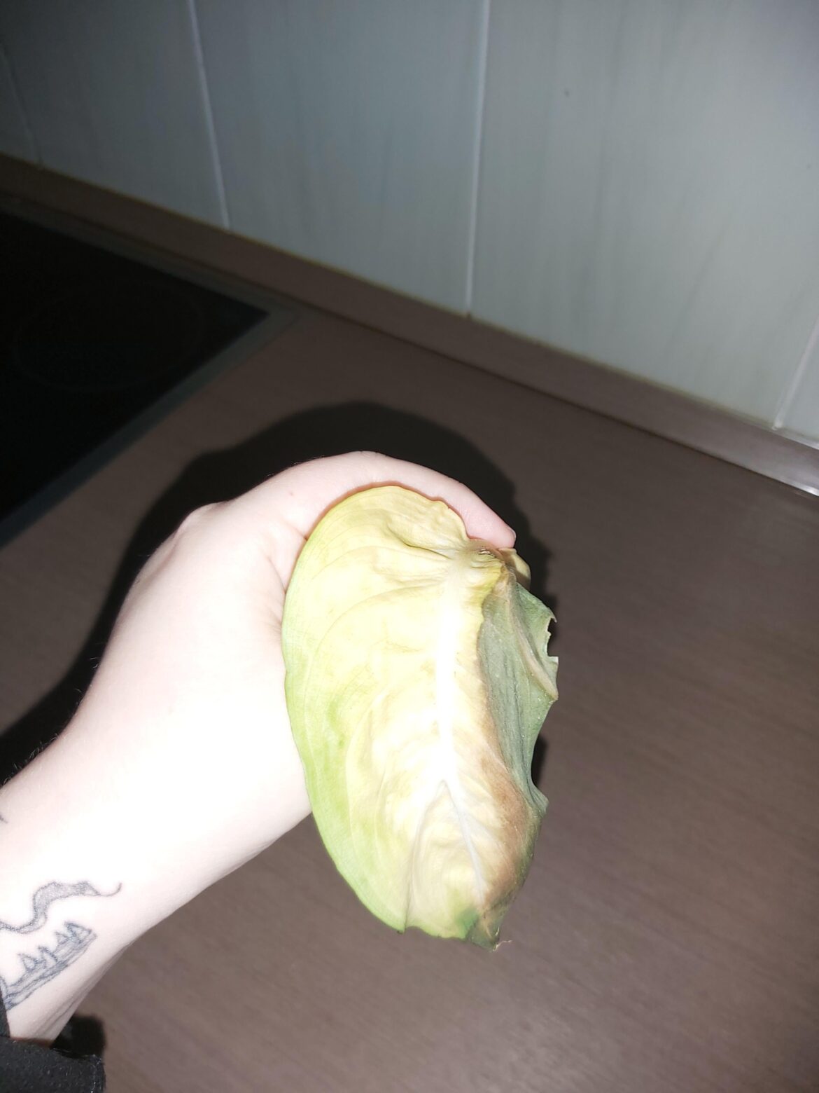 What causes this kind of damage?