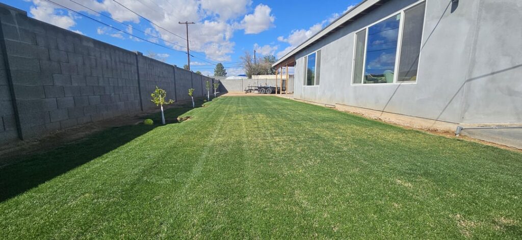 Cool season grass update