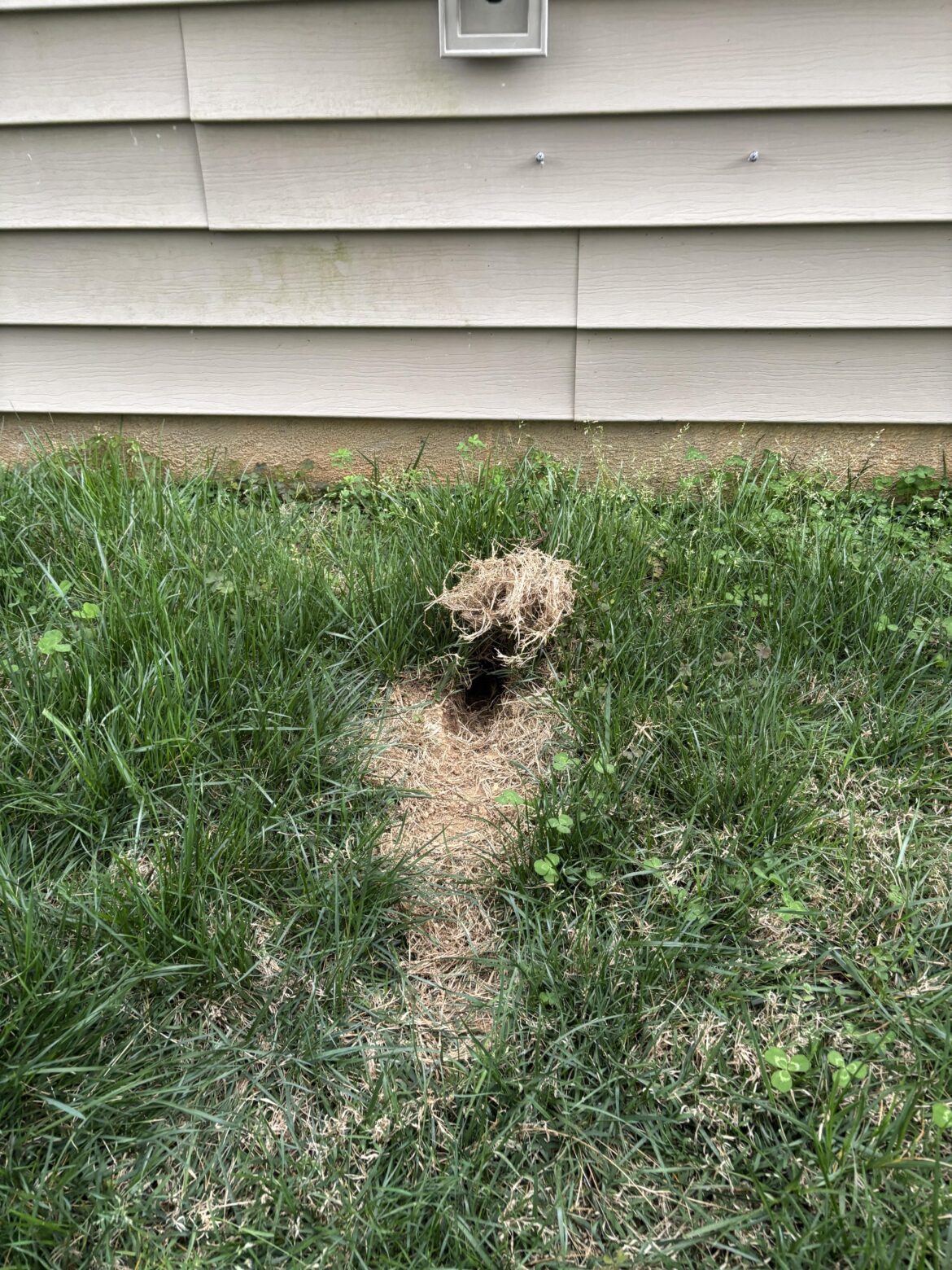 What is this?