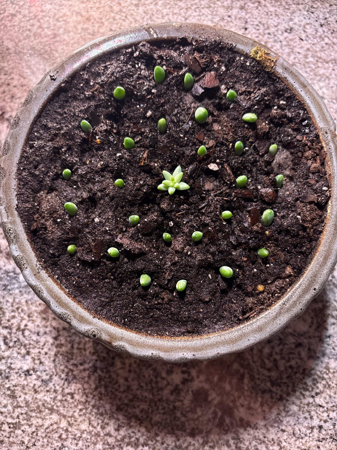 So it begins…