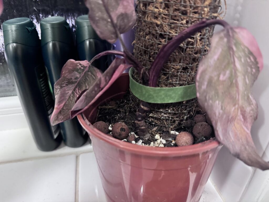 Propogating/resetting tips?