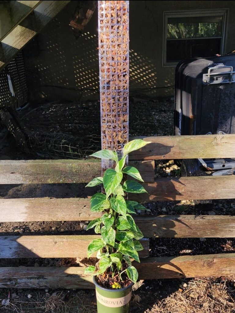 4 months of growth